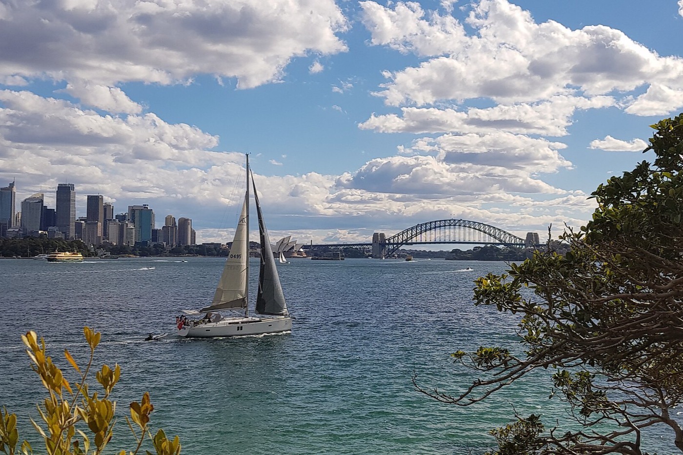 Sydney Harbour seen from Bradleys Head in Mosman, with a yacht under sail and the Harbour Bridge and Opera House on the far shore